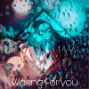 DJ spook Waiting for You 试听