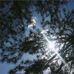 空 (单曲)详情
