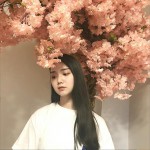 所以快乐所以活着 (单曲)详情