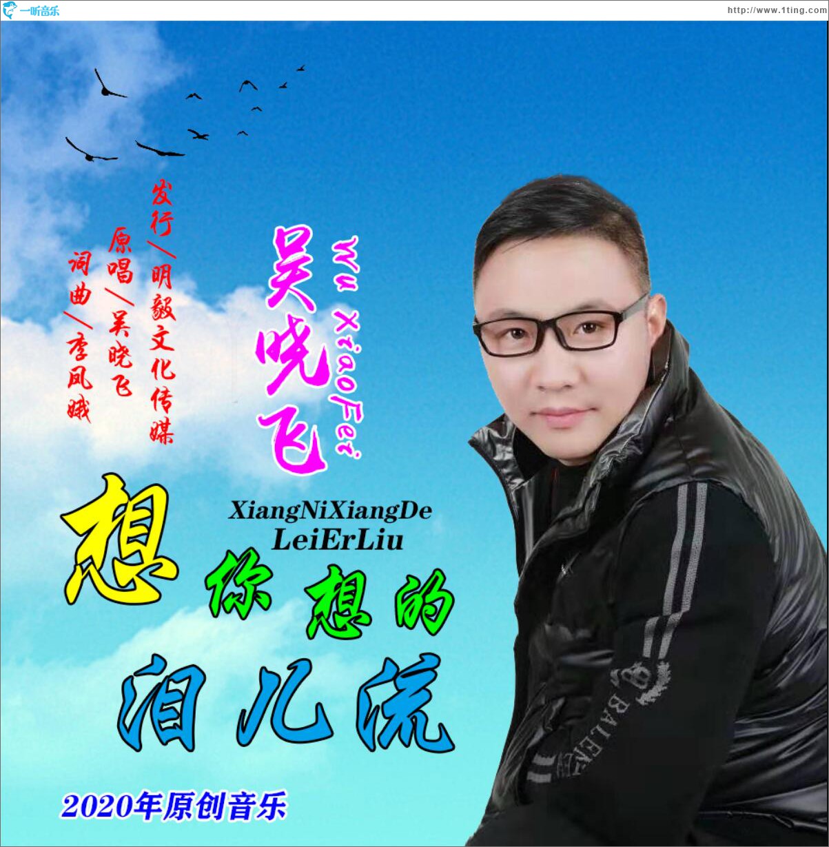 想你想的泪儿流 (单曲)