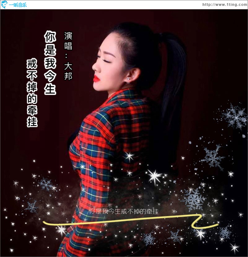 你是我今生戒不掉的牵挂 (单曲)
