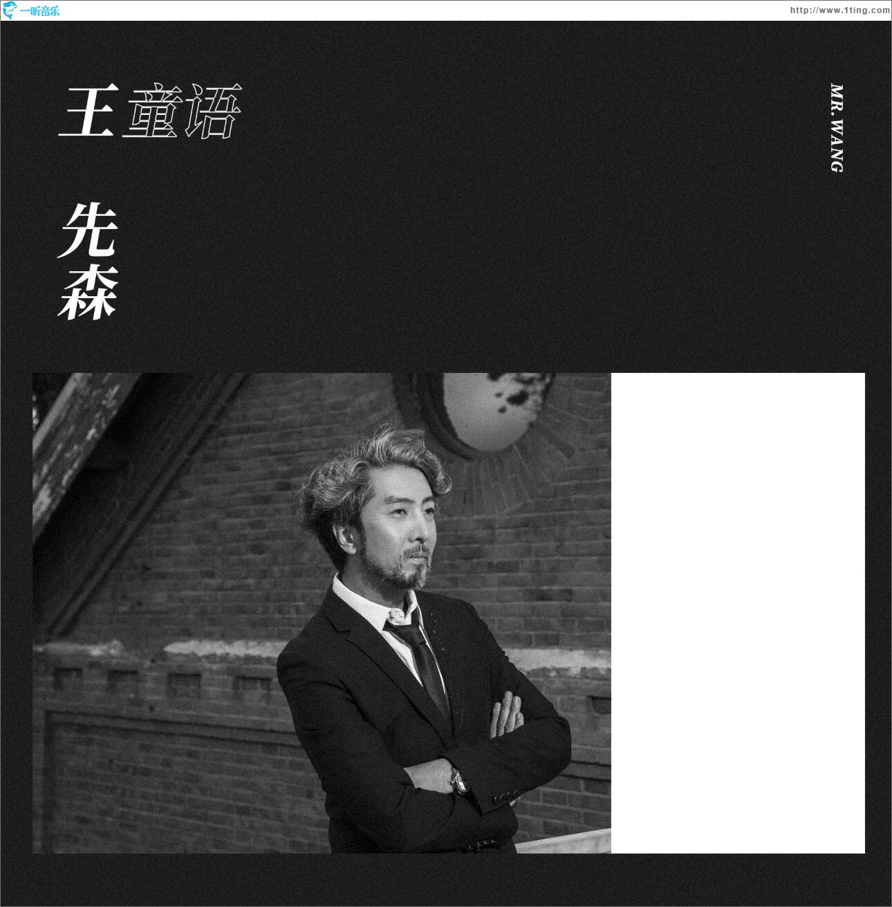 王先森 (单曲)