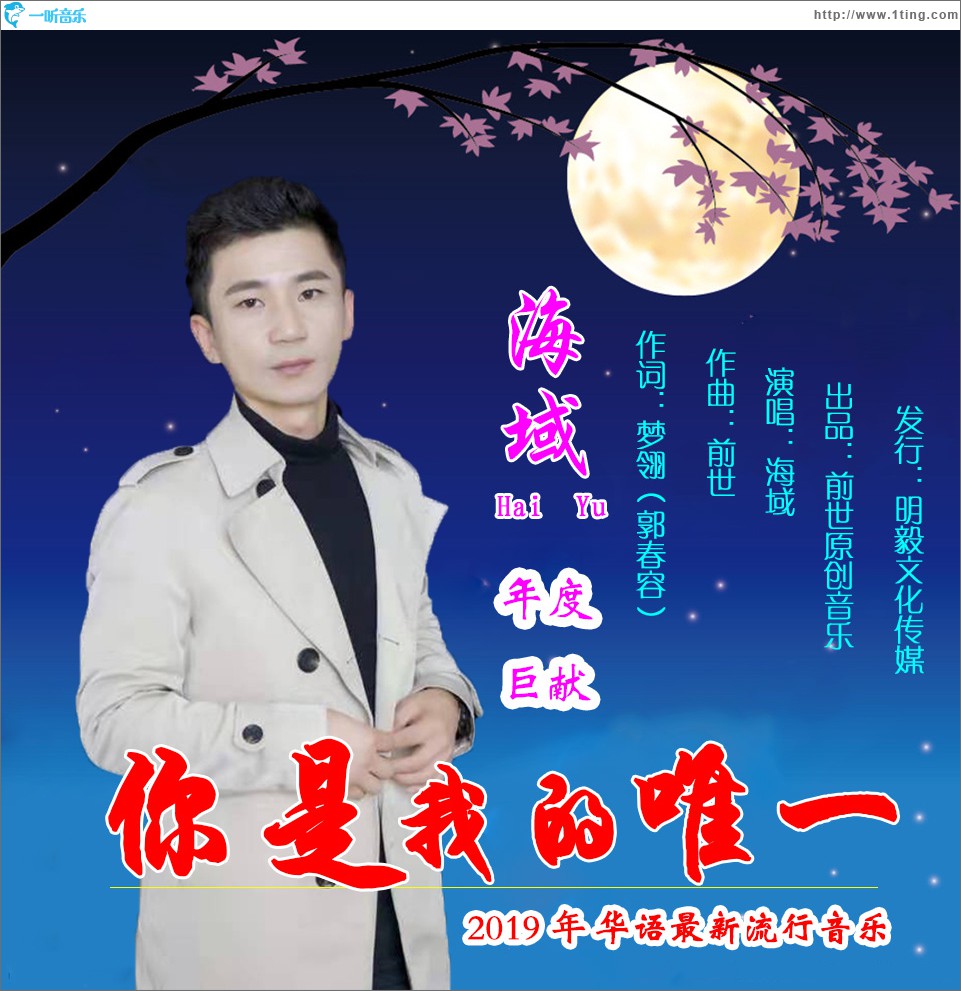 你是我的唯一 (单曲)