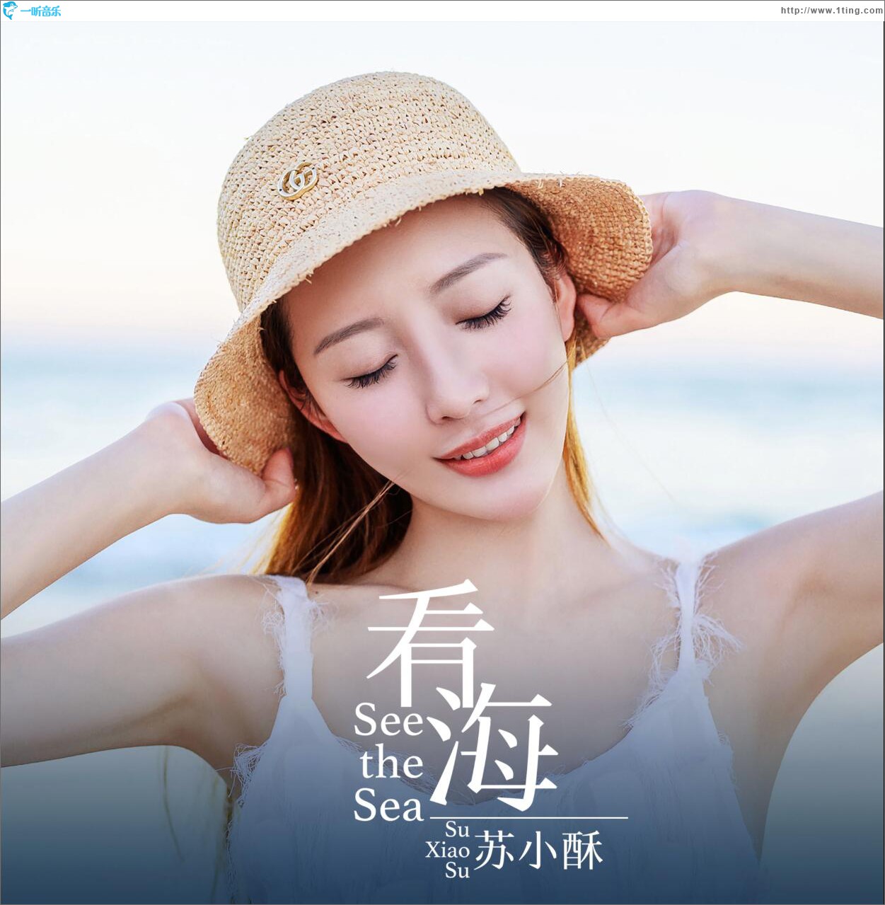看海 (单曲)