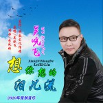 想你想的泪儿流 (单曲)详情