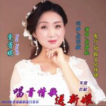 唱首情歌送新娘 (单曲)详情