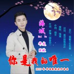 你是我的唯一 (单曲)详情
