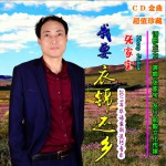 我要衣锦还乡 (单曲)详情