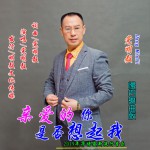亲爱的你是否想起我 (单曲)详情