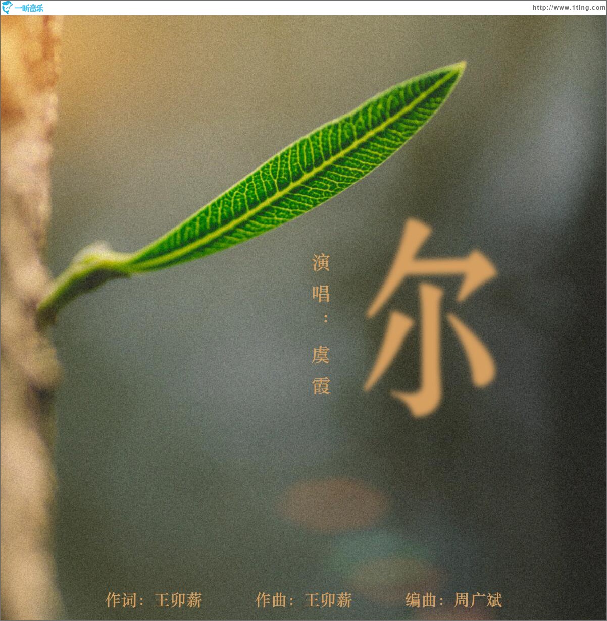 你 (单曲)