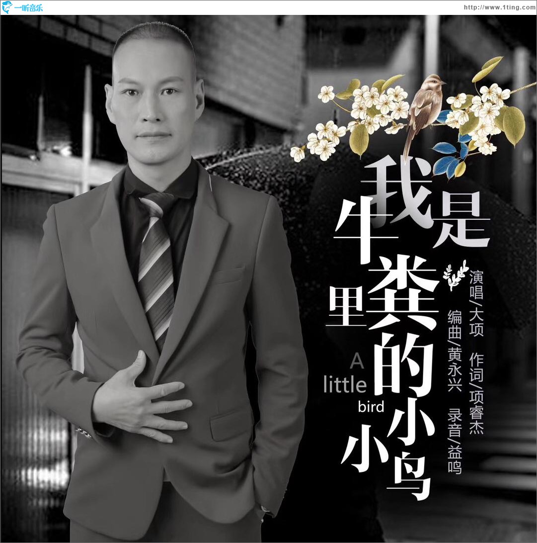 我是牛粪里的小小鸟 (单曲)