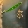 虞霞 你 试听