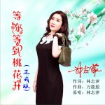 等你等到桃花开 (单曲)详情