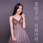 爱情手记 (单曲)试听
