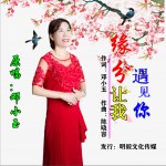 缘分让我遇见你 (单曲)详情