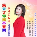 失去了你我不会哭 (单曲)详情