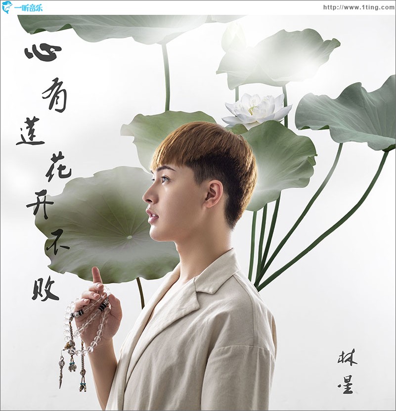 心有莲花开不败（单曲）