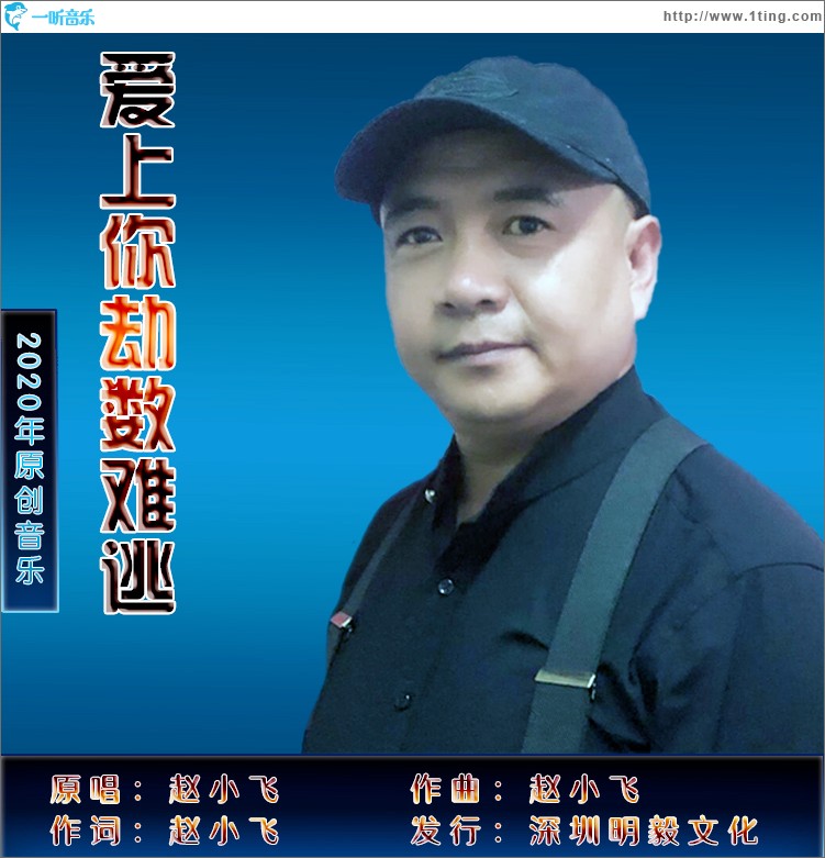 爱上你劫数难逃（单曲）