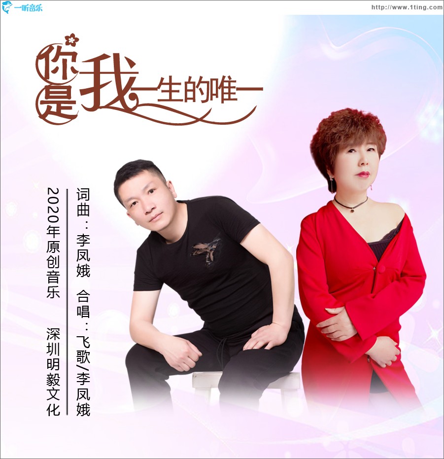 你是我一生的唯一（单曲）