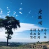 老硷畔（单曲）