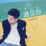 不小心遇见你（单曲）详情