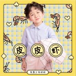 皮皮虾（单曲）详情