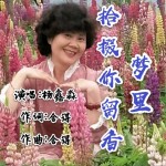 梦里拾掇你留香（单曲）详情
