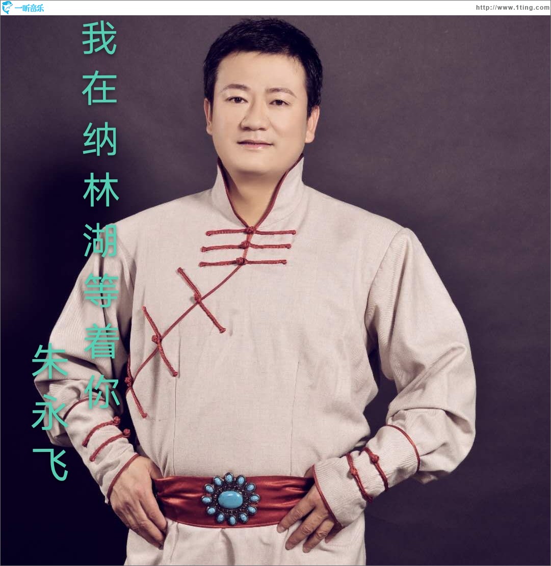 我在纳林湖等着你（单曲）