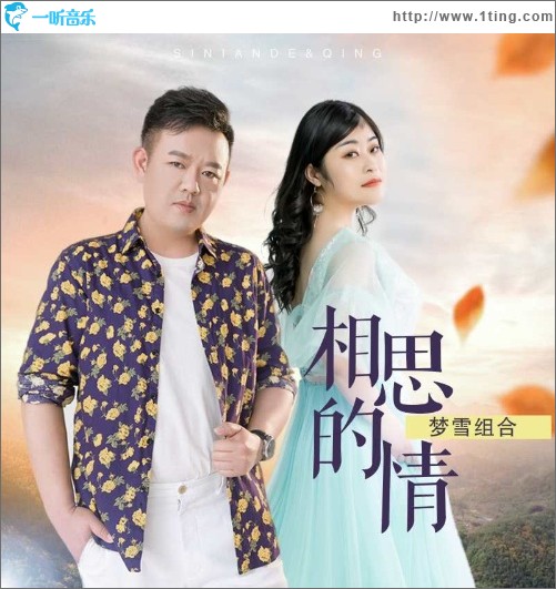 相思的情（单曲）