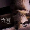 Dreamon乐队（追梦乐队） 方可（Funky） 试听