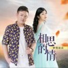 相思的情（单曲）
