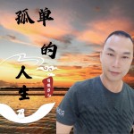 孤单的人生（单曲）详情