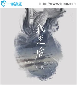 我走后（单曲）