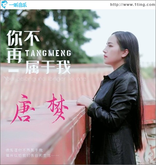 你不再属于我（单曲）