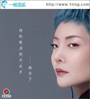 我的眼泪你不在乎（单曲）