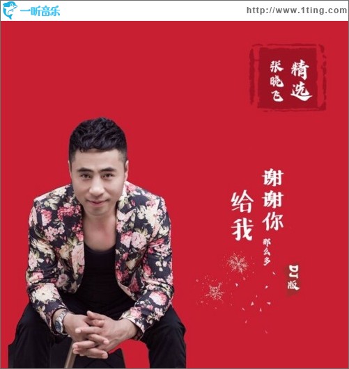 谢谢你给我那么多（DJ版）（单曲）