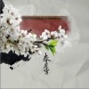 春庭雪（单曲）