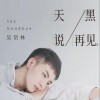 吴岱林 天黑说再见 试听
