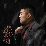 你不配我的泪 （单曲）详情