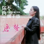 你不再属于我（单曲）试听
