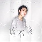 该不该（单曲）详情