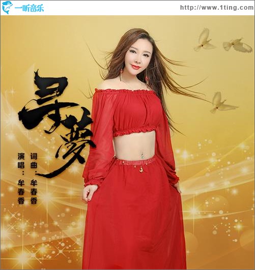 寻梦（舞动版）（单曲）