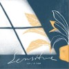 敏感（单曲）