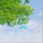 你是氧气（单曲）详情
