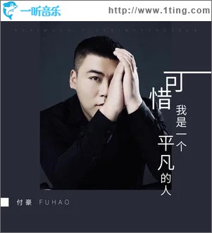 可惜我是一个平凡的人（单曲）