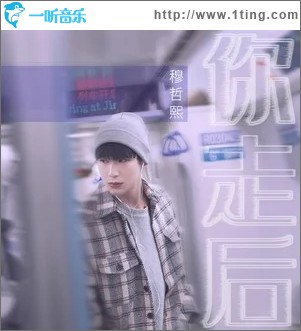 你走后（单曲）