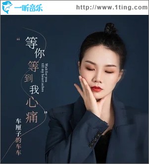 等你等到我心痛（单曲）