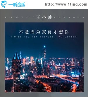 不是因为寂寞才想你（单曲）