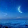 静夜思温柔（单曲）