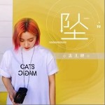 坠（单曲）详情
